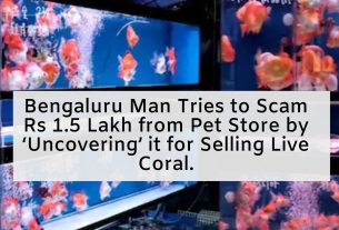 Bengaluru Man Tries to Scam Rs 1.5 Lakh from Pet Store by 'Uncovering' it for Selling Live Coral.