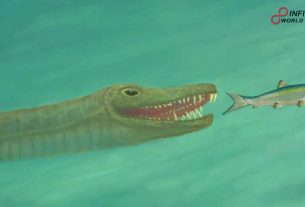 Odd Looking Reptile with 'Broomstick-like' Neck Named after Mythical Greek Sea Monster