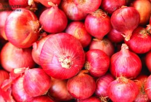 Onions For Weight Loss_ Most Efficient Techniques to Have This Food