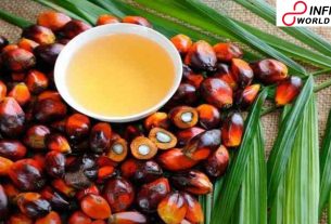 Vitamin E of palm oil helps in boosting safe reaction, discovers the study