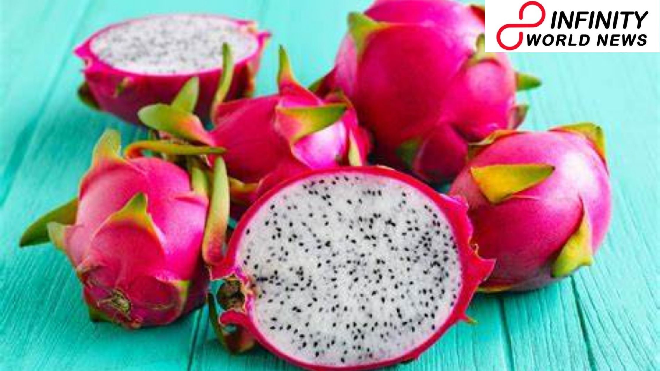 UP to Hold Dragon Fruit Festival to Boost Organic Farming in the State