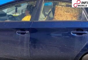 Strange! Lady in US Drives Car with Hundreds of Bees Swarming inside in Viral Image