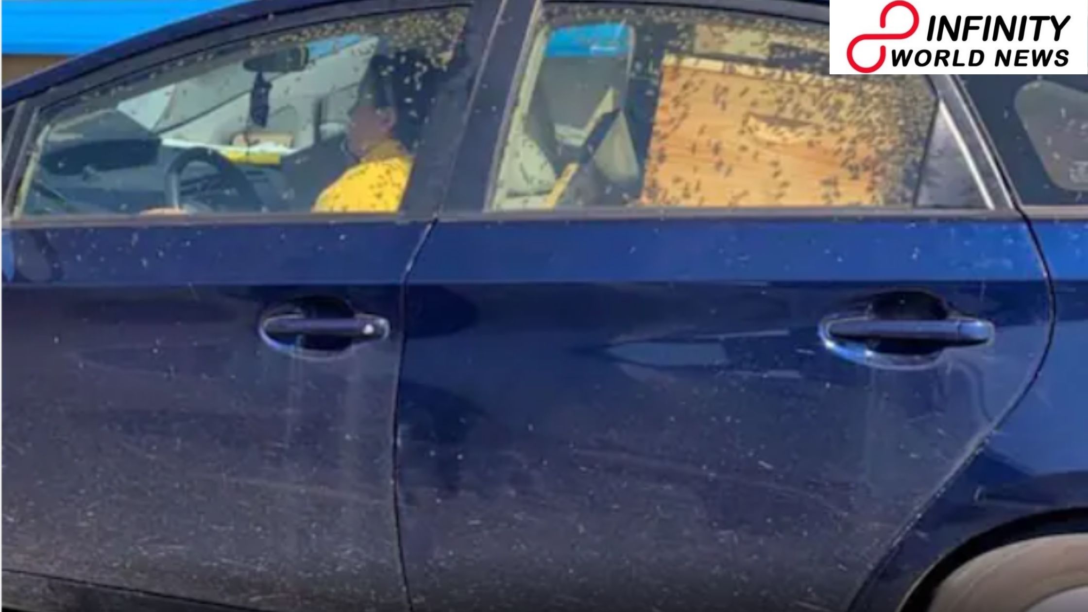 Strange! Lady in US Drives Car with Hundreds of Bees Swarming inside in Viral Image